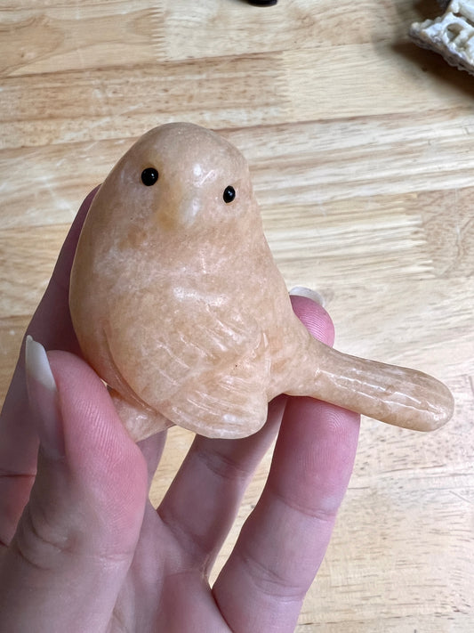 SUNSET JASPER BIRDIE CARVING