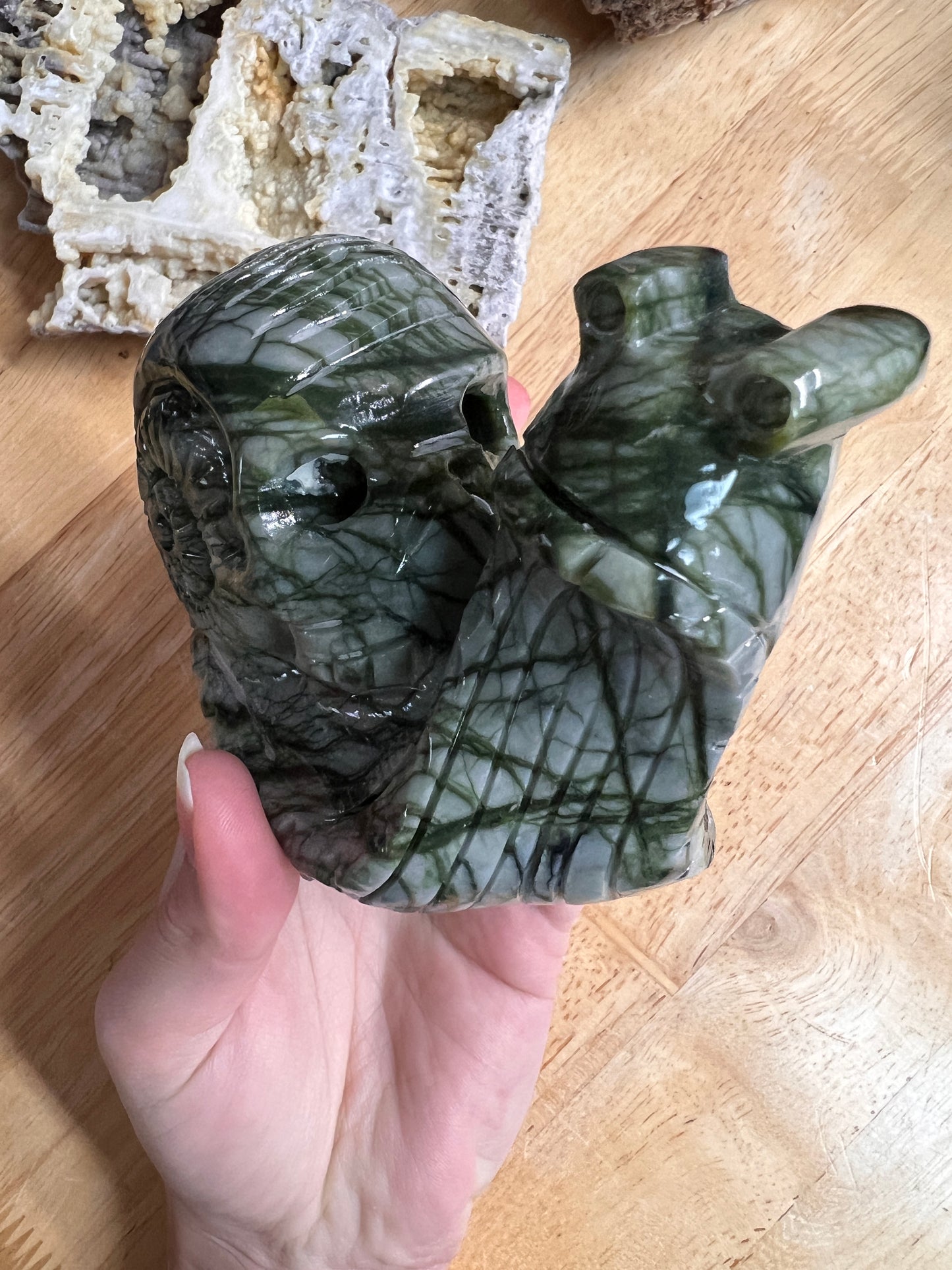 "A” GRADE SERPENTINE SNAIL SKULL