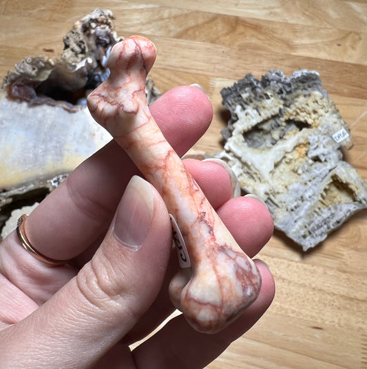 CRYSTAL RED WEB JASPER BONE